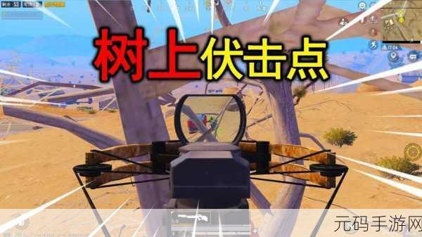 和平精英狙击天堂，揭秘战场上的最佳隐匿与伏击圣地