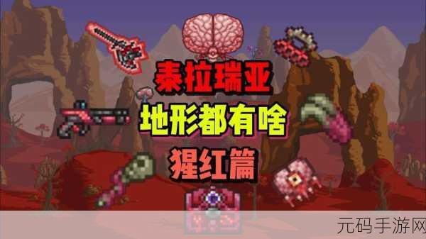 泰拉瑞亚冒险新篇章,猩红套装打造秘籍大公开