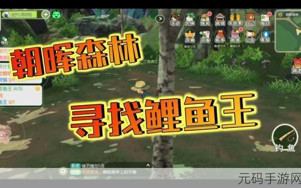 小森生活钓鲤鱼王饲料获取秘籍大公开