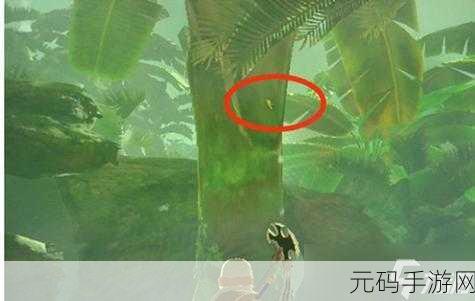 塞尔达传说王国之泪，大剑独角仙位置揭秘，探险家们的必备指南