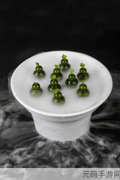 龙族幻想美食奇遇，揭秘西湖牛肉羹的梦幻制作秘籍