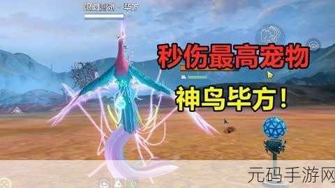 妄想山海毕方进化揭秘，珍稀材料助你解锁神兽新形态