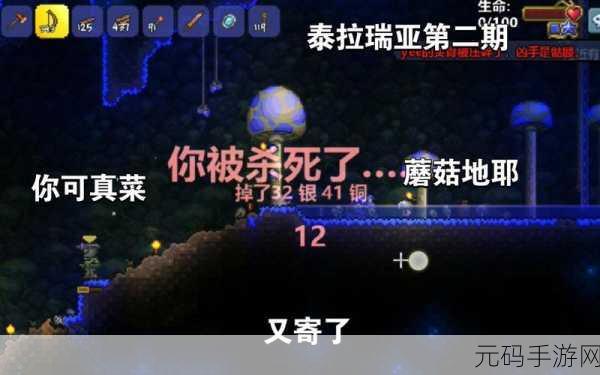 泰拉瑞亚探险新篇章,揭秘猩红盔甲的获取之道
