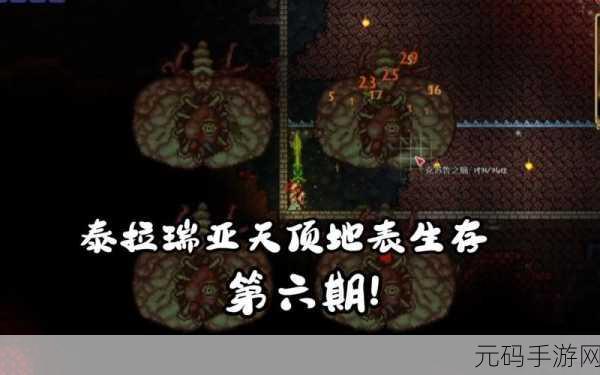 泰拉瑞亚探险新篇章,揭秘猩红盔甲的获取之道