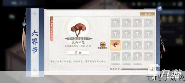 新仙剑奇侠传手游,揭秘中级信物获取之道