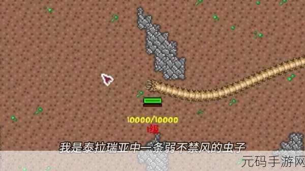 泰拉瑞亚，砖块放置者的全面解析与获取指南