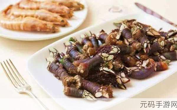 幻塔美食探索，揭秘藤壶海鲜披萨的制作秘籍与神奇功效