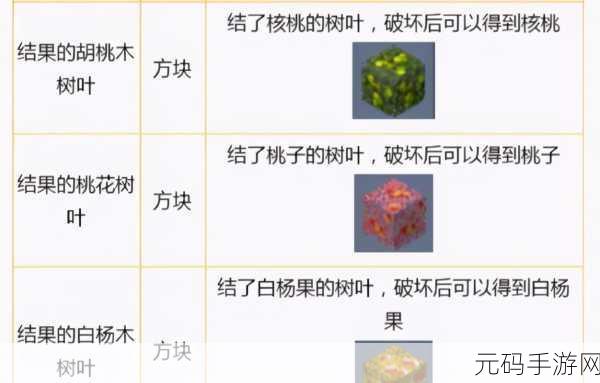 迷你世界家园植物全攻略，10 级成长与果实效能大揭秘