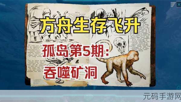 方舟生存进化手游，矿洞探秘 宝藏寻踪秘籍