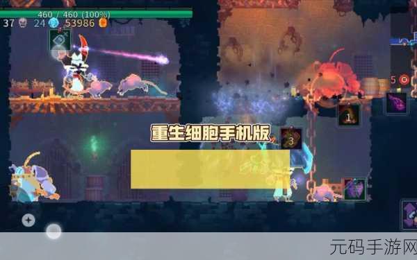 重生细胞,解锁传奇武器,探索无限战斗新境界
