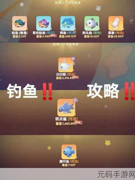 摩尔庄园手游,彩翅鱼出没地点全揭秘
