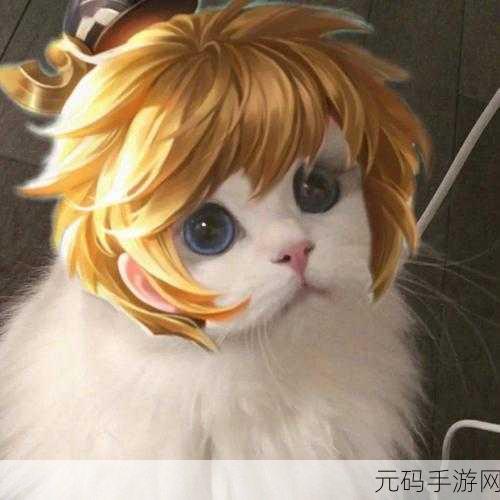 王者荣耀,探寻娇俏迷人的猫咪角色之谜
