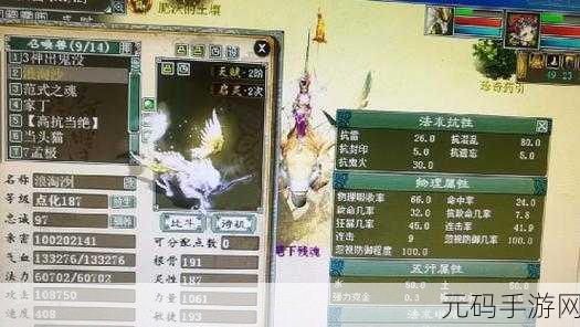 大话西游热血版龙马技能与培养全解析