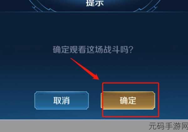 王者荣耀观战秘籍,深度剖析细致观战操作