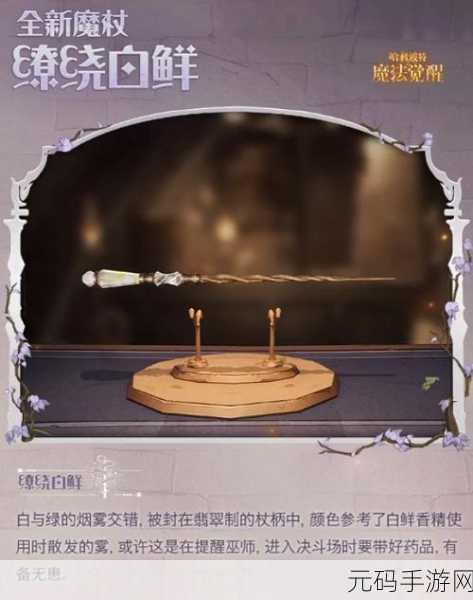 哈利波特魔法觉醒，魔杖王者争霸，谁能登顶