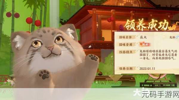 忘川风华录，解密鹅与猫咪解密的终极指南