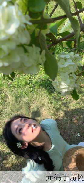 欧美MV日韩MV最火的一句:当然可以!以下是一些基于欧美和日韩MV中最火的一句拓展出的新