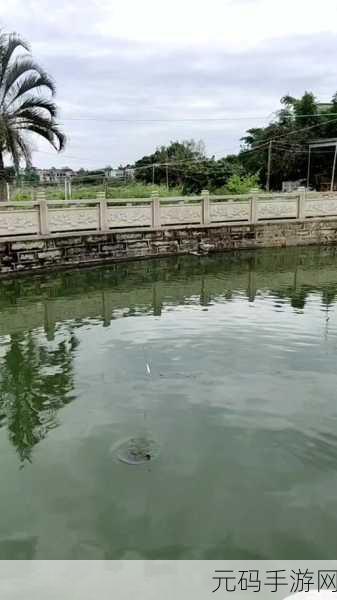 wlk乌龟坐骑哪里钓到的几率高:1. "揭秘wlk乌龟坐骑:钓鱼地点与几率全面分析
