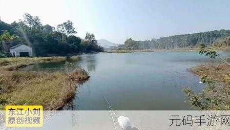 钓鱼达人焕新归来,沉浸式垂钓之旅,等你来探索!