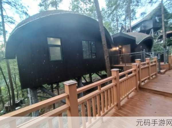 林中小憩,探索自然奥秘,合并升级的乐趣之旅现已启程!