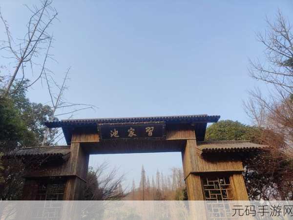林中小憩,探索自然奥秘,合并升级的乐趣之旅现已启程!