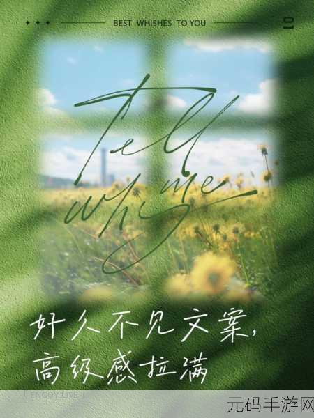 重逢于虚拟梦境,好久不见,再见游戏下载——沉浸式文字剧情冒险新篇