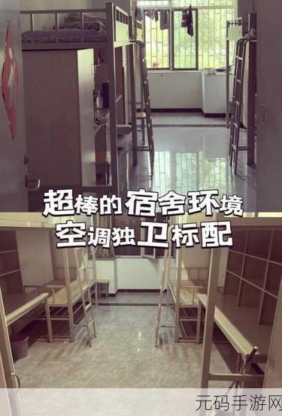 大学宿舍506寝室灯灭了以后：1. ＂灯灭后的宁静：506寝室的夜晚故事