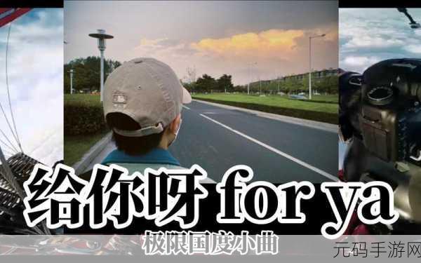 极限巅峰怎么播放forya：1. 如何通过极限巅峰提升你的Forya技能