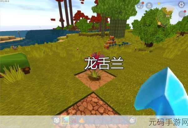 迷你世界龙舌兰位置全解析 助你轻松获取