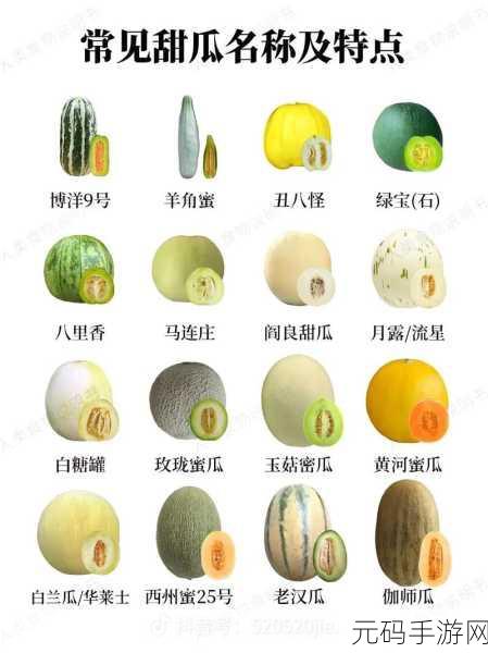 朝阳群众吃瓜今日吃瓜:1. 朝阳群众热议今日八卦,谁又成了新焦点?