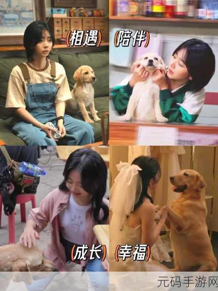 谭松韵一家三口照片:1. “幸福三口之家:谭松韵的温馨家庭时光”