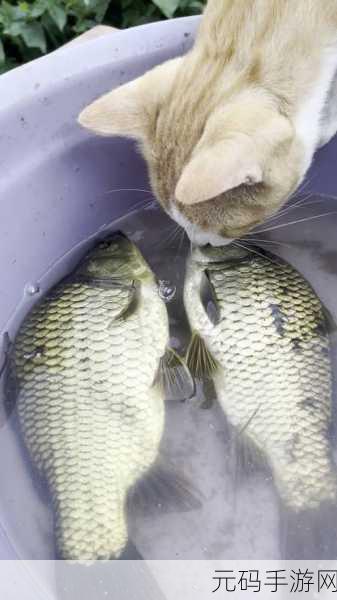 萌宠出击!钓鱼猫咪Fishing Cat带你领略趣味无穷的垂钓之旅