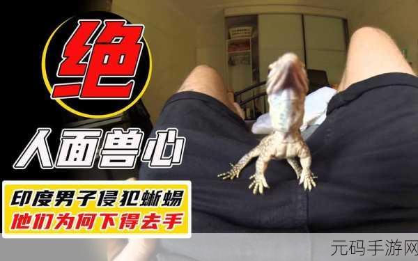 印度蜥蜴被侵害事件:“印度蜥蜴被侵害事件引发生态保护热潮”