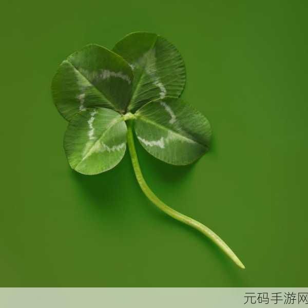 四叶草欧洲和国产区别:四叶草:欧洲与国产的深度比较与文化差异