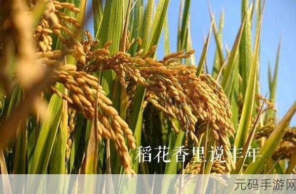 丰年经继拇3的机能量发展:1. 丰年经继拇3:探索机能量发展的新境界