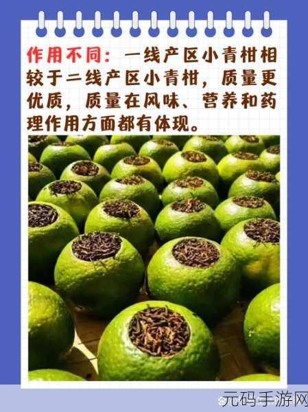 一线产区和二线产区的知名品牌是什么：一线与二线产区知名品牌分析：市场趋势与发展机遇