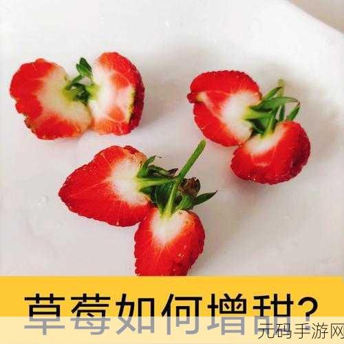 草莓ios官方版下载：1. 草莓iOS官方版下载：畅享无限精彩的应用体验