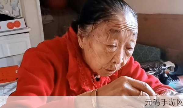 马玉琴40亿怎么挣来的:1. 从零到四十亿:马玉琴的财富传奇
