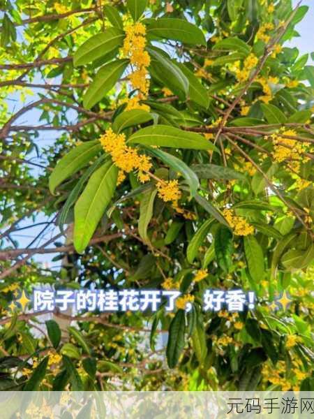 蜜呀：当然可以！以下是一些基于“蜜呀”的新标题建议，每个标题都不短于10个字：
