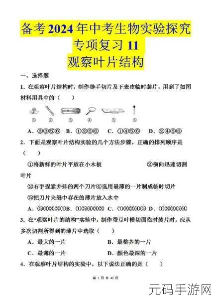含蓄草实验研究所2024隐藏路线：1. ＂探索含蓄草实验研究所2024的隐秘路径与未来发展