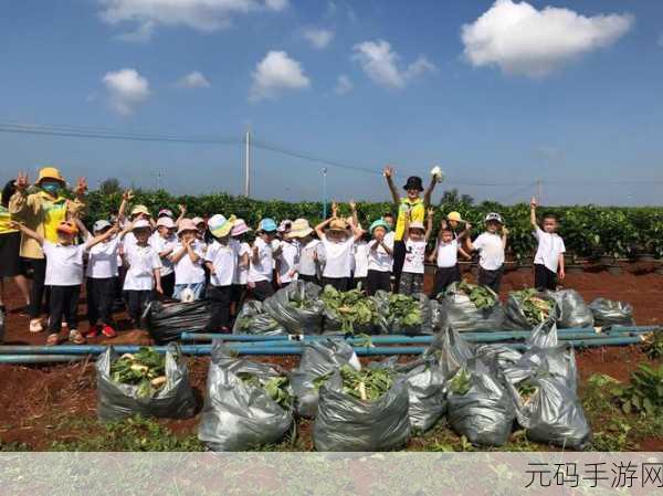 两个人如何拔萝卜生孩子软件户外:1. 《携手拔萝卜,探索生育之道的户外拓展