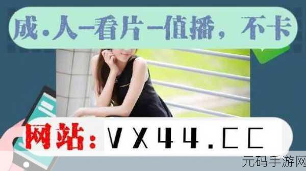 麻豆视频免费入口:1. 探索麻豆视频免费入口的多样化功能与使用体验