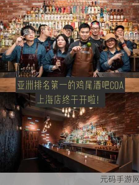 亚洲一卡：1. 亚洲一卡：畅享多元文化与便利生活