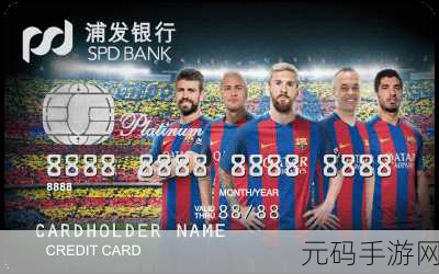 欧美一卡二卡…：1. 欧洲与北美的信用卡使用差异及趋势分析