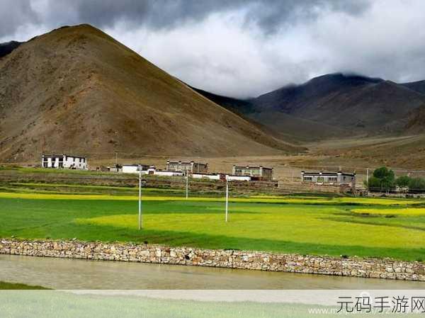 木工削削乐正版来袭，解锁指尖上的趣味与挑战之旅