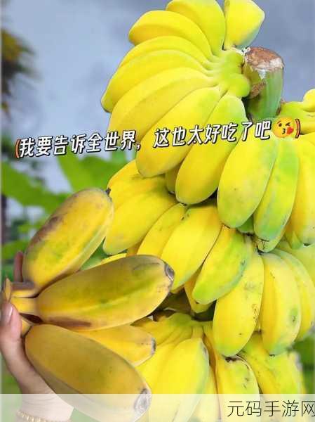 香蕉视频44：1. 香蕉视频：探索无尽的娱乐世界与创意内容
