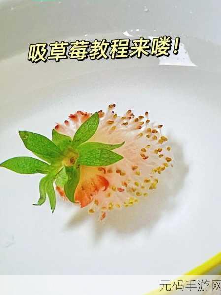草莓视频:1. 《草莓视频:探索全新视听天地的秘密