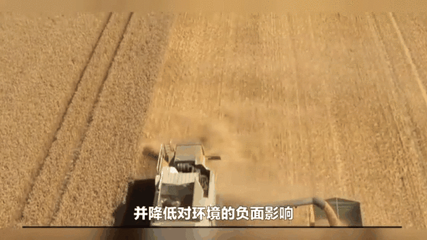 51大豆行情网免费:1. 51大豆行情网:最新市场动态与趋势分析