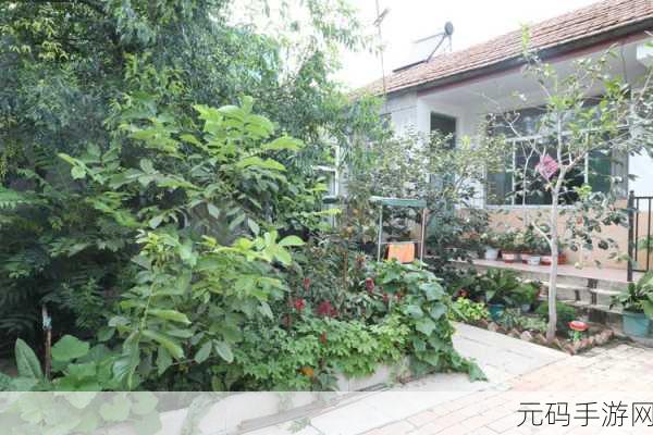 多福花园,种花养草也能领现金,创新休闲游戏掀起赚钱新风尚