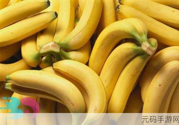 麻豆精产一二三产区香蕉：1. ＂麻豆精产香蕉的三大产区特色揭秘